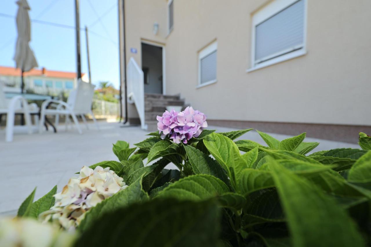 Anastazia Zadar